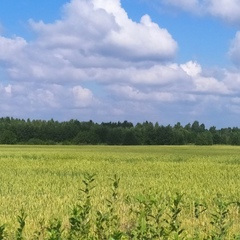 Наталья Савина, Санкт-Петербург