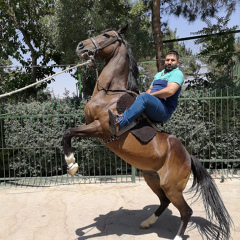 Али Салах, Baghdad