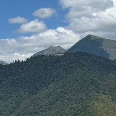 Павел Сергейчик