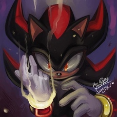 Shadow The-Hedgehog, 24 года