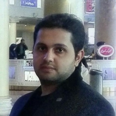 Amir Zarenejad, 31 год, Tabriz