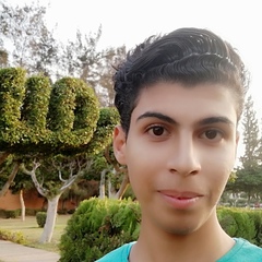 Ahmed Abo-El-Naga, 23 года, Mansoura