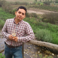 Wilfredo Orlando, 43 года, Lima