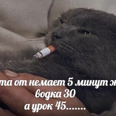 Едуард Вайман, Одесса