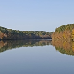 Дмитрий Кочанов, Москва