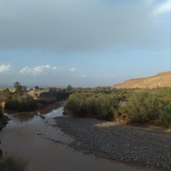 Majda Alaoui, 31 год, Rabat