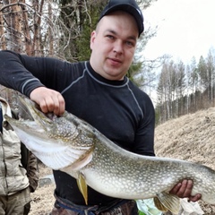 Ванко Яйцев, Малошуйка