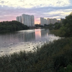 Марина Серебрянникова, Москва