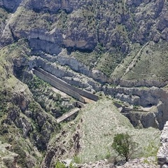 Корней Чуковский, Cape Town