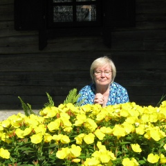 Ella Avdeikova, Tampere