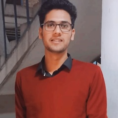 Ankit Yadav, 26 лет, Kanpur