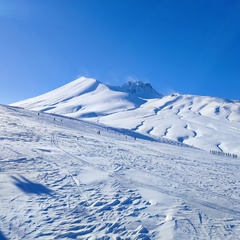 Алексей Алексеев, Одесса