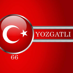 Birmilyon Yozgatlı, 46 лет, Yozgat