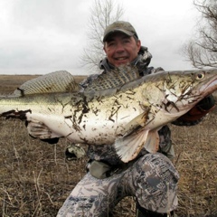 Alexey Kolomiets, Волгоград