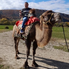 Николай Соловьев