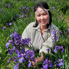 Лена Новикова, Покровск