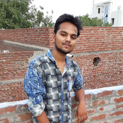 Ravendra Kumar, 25 лет, Aligarh