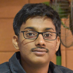 Aneesh Raj, 25 лет, Indore