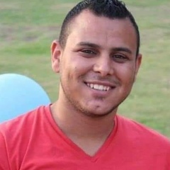 Mohamed Abdelnaby, 31 год, Cairo