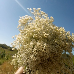 Ксения Шишкина, Сибай