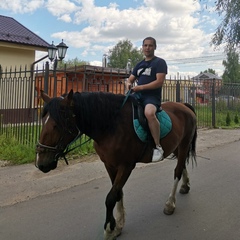 Алексей Шавырин, Москва