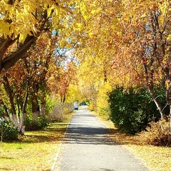 Лариса Лаврикова, Екатеринбург