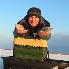 Александр Анатольев, Лодейное Поле