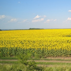 Александр Ларионов, 41 год, Лоухи