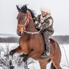 Евгений Викторович, 40 лет, Краснодар