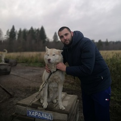 Илья Зверев, 31 год, Подольск