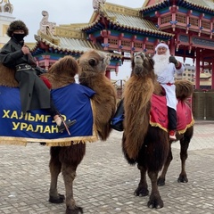 Верблюжий Остров, 62 года, Элиста