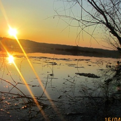 Александр Хорев, Шостка