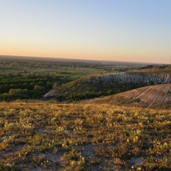 Сергей Горенко, Славянск