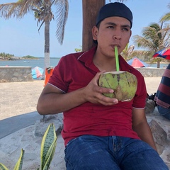 Martin Villa, 25 лет, Sinaloa