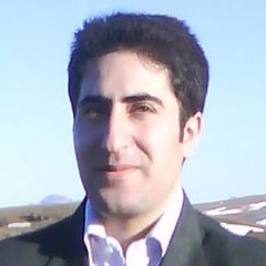 Esmaeil Foroughi, 38 лет, Ardabil