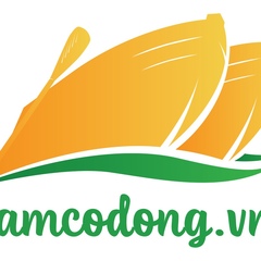 Batdongsan Vamcodong, 31 год