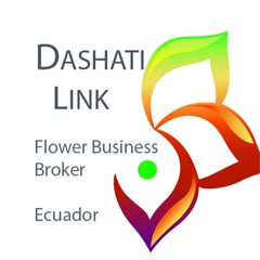 Dashati-Trade-Link Tsvety-Ekvadora, 41 год, Quito