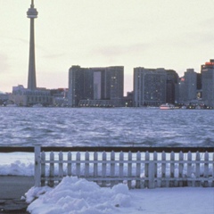 Шан Шану, Toronto