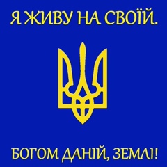 Василий Салюк, 38 лет, Киев