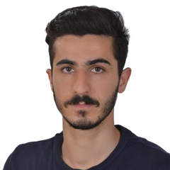 Reza Davoudi, 30 лет, Sari