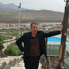 Reza Imani, 44 года, Tabriz