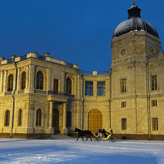 Лариса Ковалева, Санкт-Петербург