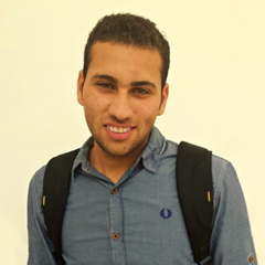 Abdullatif Elsayed, 30 лет, El Mahalla El Kubra