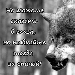 Александр Калмыков, 43 года, Москва