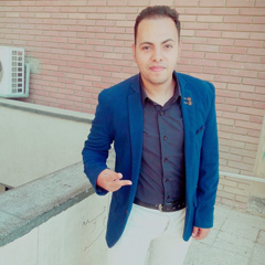 Mohamed Mohsen, 30 лет, Asyut