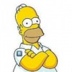 Homer Simpson, 27 лет, Springfield