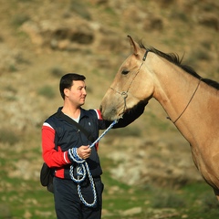 Mekan Ovezow, 40 лет, Ашхабад