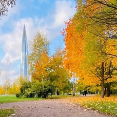 Дмитрий Ер, Санкт-Петербург