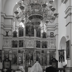 Павел Янушкевич, 35 лет, Гродно