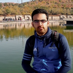 Sajjad Khakpoor, 30 лет, Tabriz